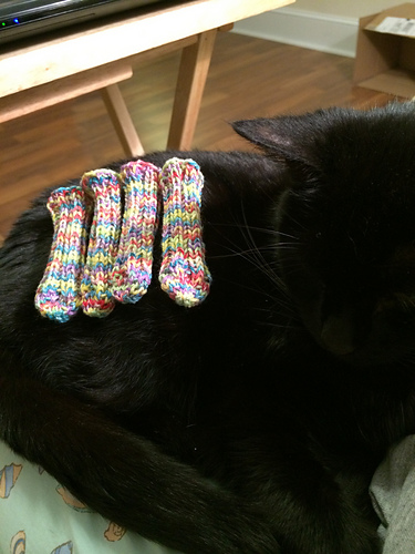Toe-Up TV Tray Socks