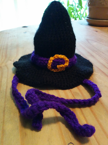 Witchy Hat (for pets)