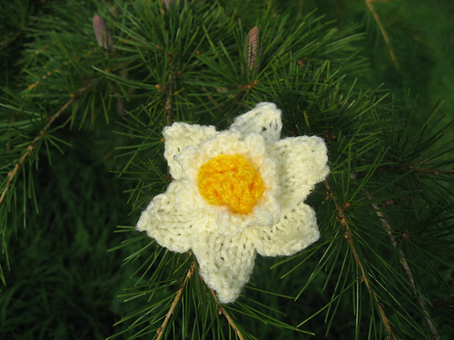 Knitted Daffodil