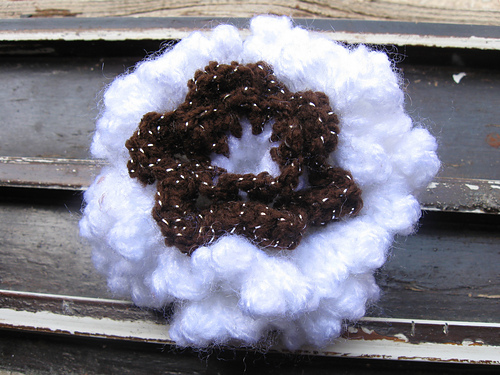 Chrysanthemum Flower