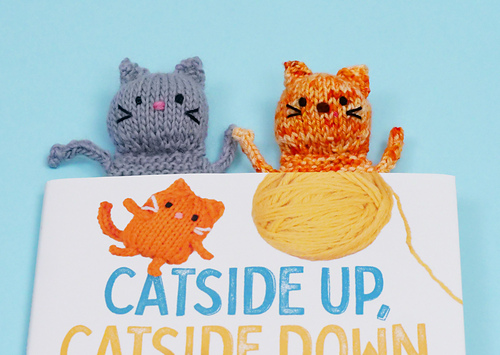 Inside Cat