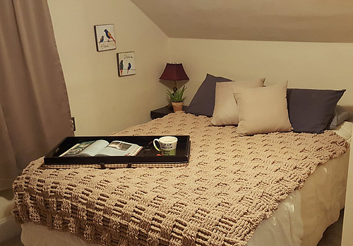 Chunky Basketweave Blanket