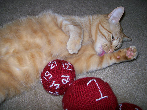 Cat dice toys