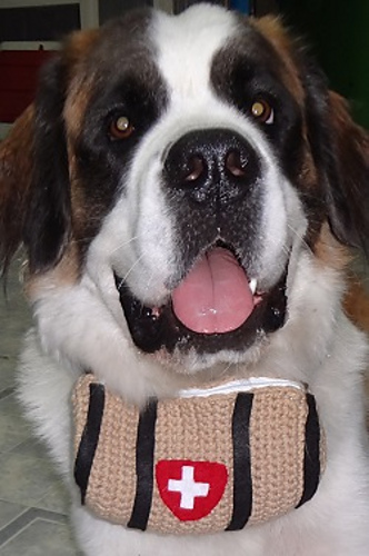 Whisky Barrell Pouch For Saint Bernards