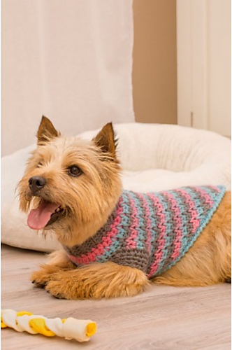 La-di-da Dog Sweater