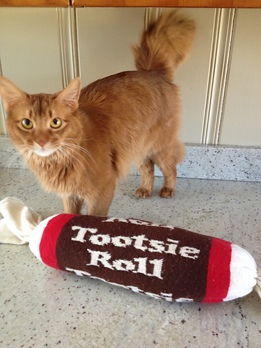 Tootsie Roll Bolster Pillow