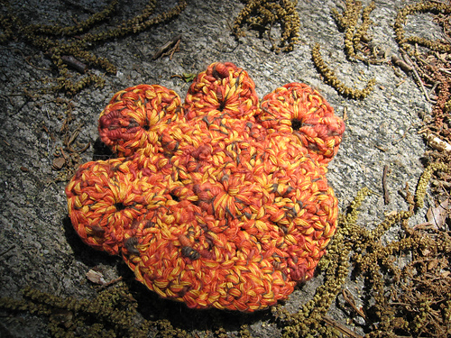 Paw Print Scrubbie