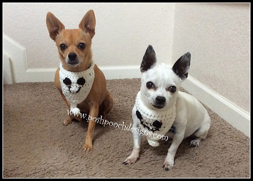 Ghost Dog Bandanna