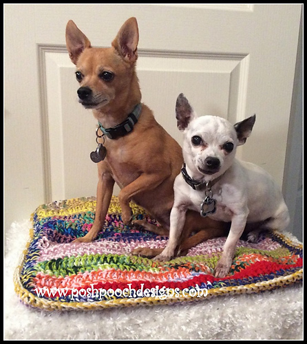 Pet Blanket And Cushion