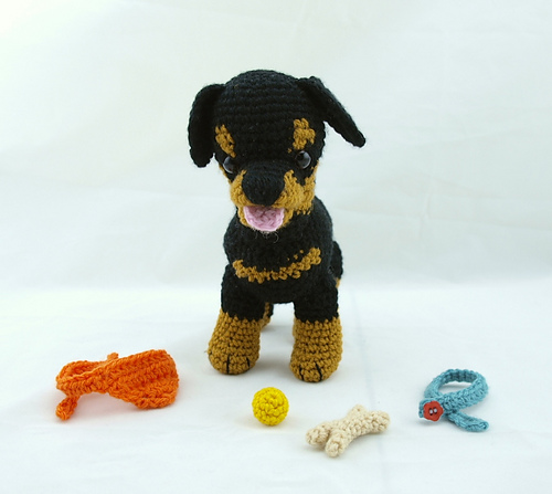 Rottweiler puppy accessories