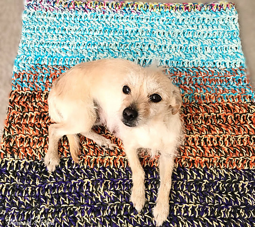 Chunky Pup Blanket