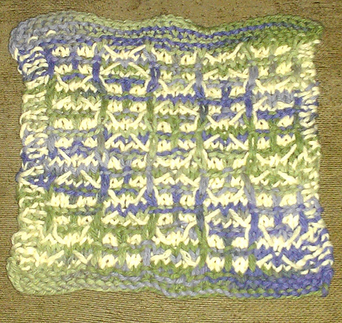 Windows & Doors Dishcloth