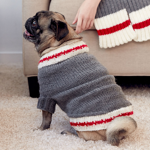 Work Sock Dog Coat