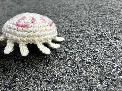 Moon Jellyfish - a sophisticated  jelly