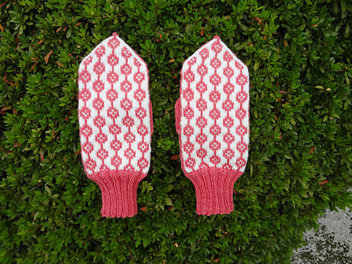 Hanamomo Mittens