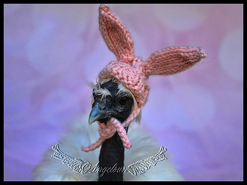 Gretchen's Bunny Hat (Chicken Hat)