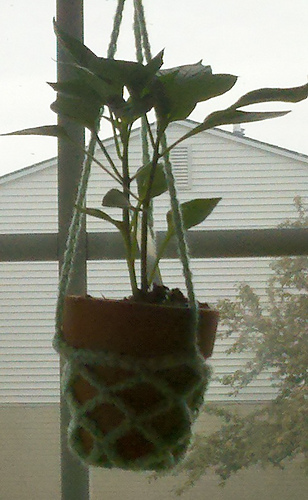 Crochet Plant Hanger - Mini
