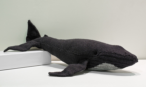 Hazel the Humpback Whale