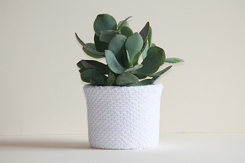 cache- pot/ flower pot