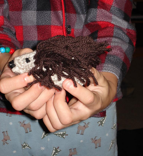 A Hedgehog for Daniel
