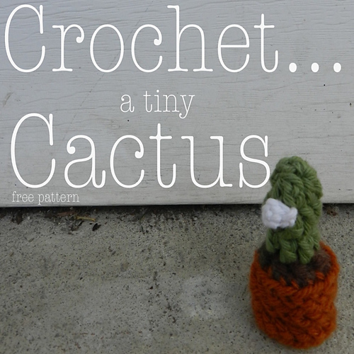 Tiny Cactus
