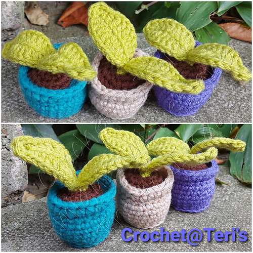 Seedling Pots