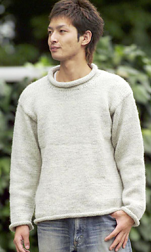 24-25-38 Men's Basic Sweater