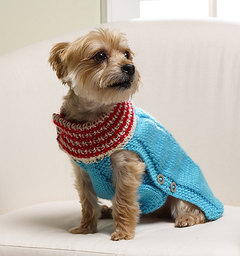 Holiday Dog Christmas Sweater