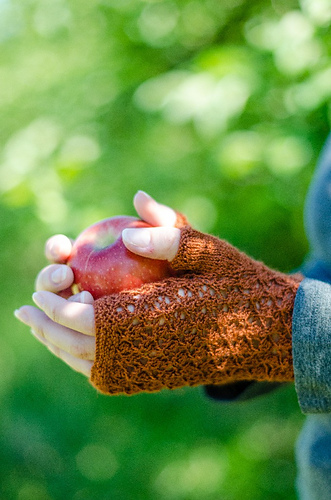 Cortland fingerless mitts