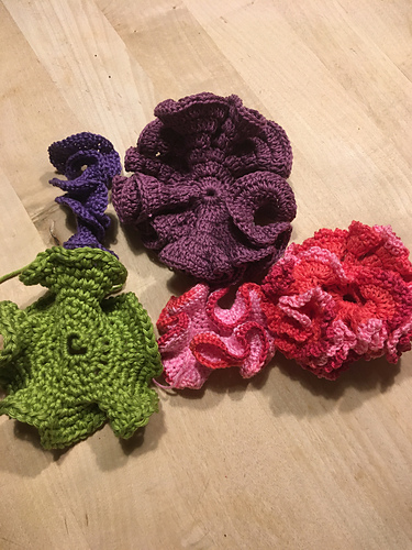 Hyperbolic Crochet Motifs (Coral Reef)