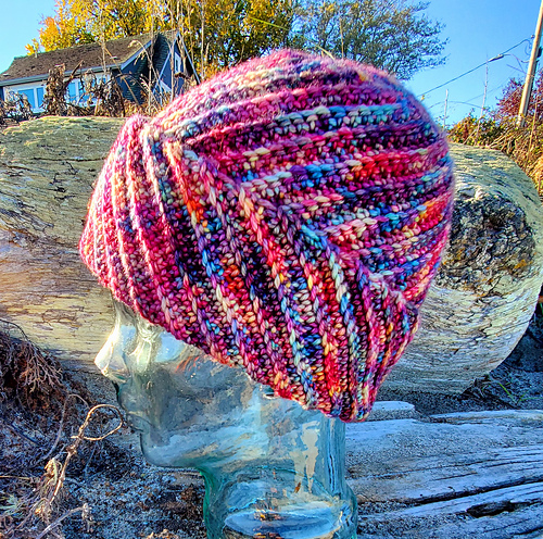 Biased Beanie