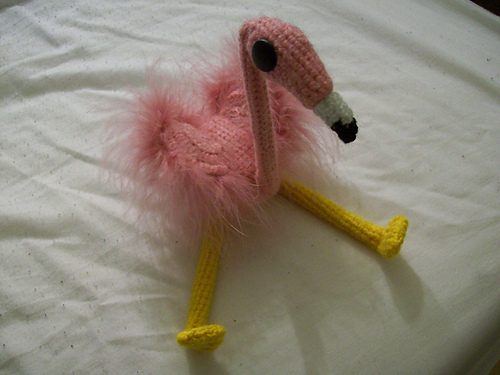 Flora, the Australian Flamingo