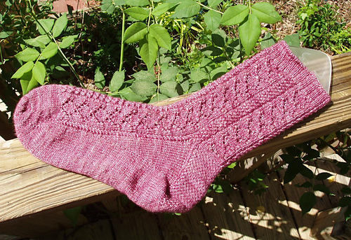 Lace and Braided Rib Socks