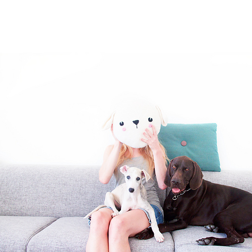 Dog Pillow