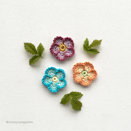 Sunday Flower