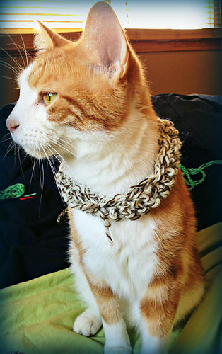 Cat Hat and Scarf