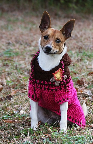 Dog Hoodie