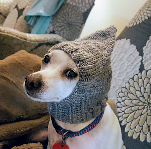 Pointy Dog Hat