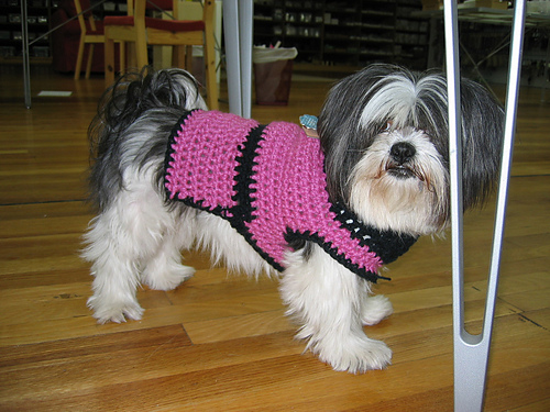 Easy Dog Sweater