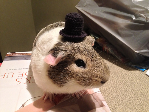Mini Amigurumi Top Hat