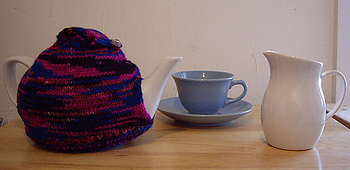 Winter in Washington Tea Cozy (with flap)