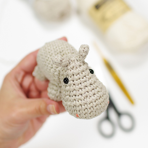 Small Hippo