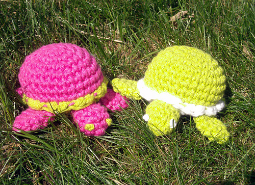 Itty Bitty Turtle