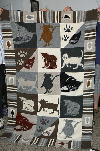 #21 The Cat Afghan