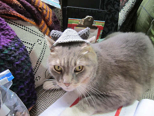 Viking Cat Hat