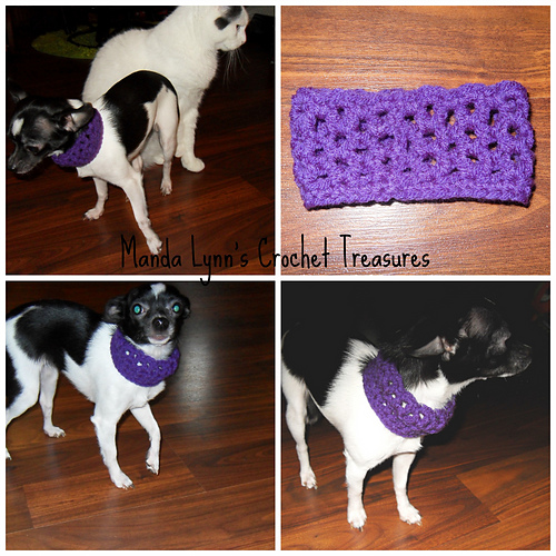Lacy Cowl for Pup