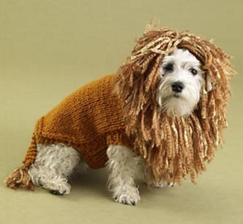 King of the Beasts (Lion) Dog Sweater