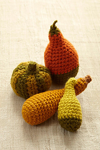 Thanksgiving Gourds