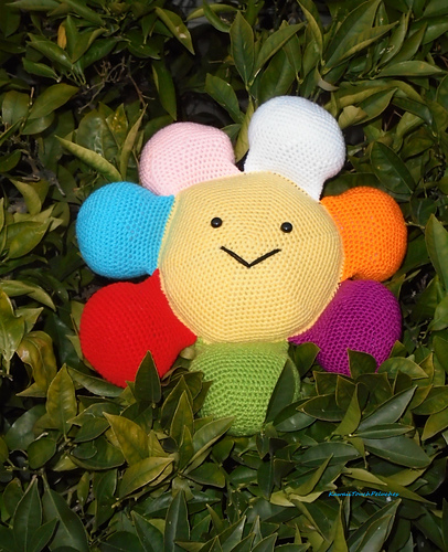 rainbow flower pillow