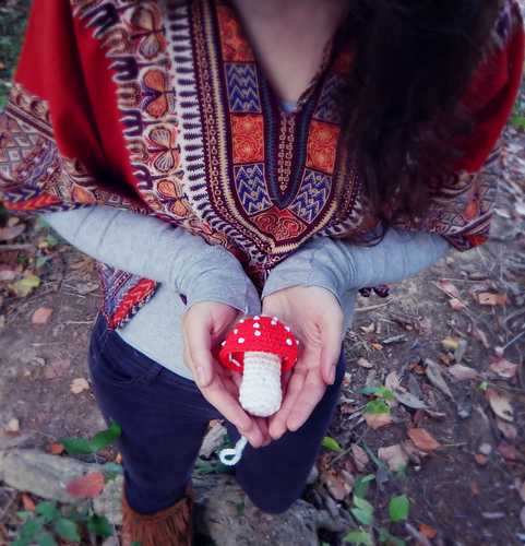 Amanita Mushroom Pouch